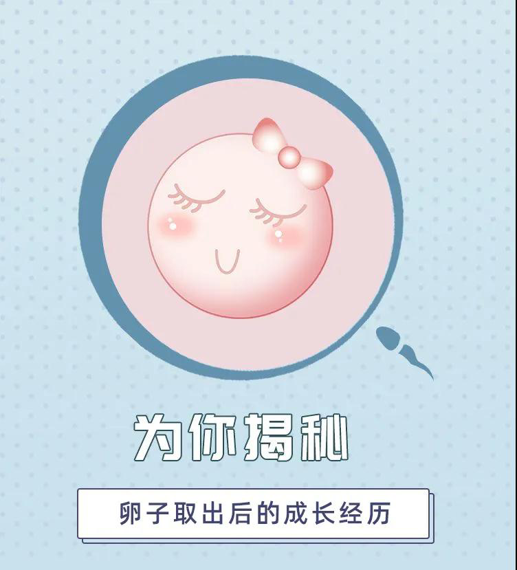 1584502213625106.png 1.png