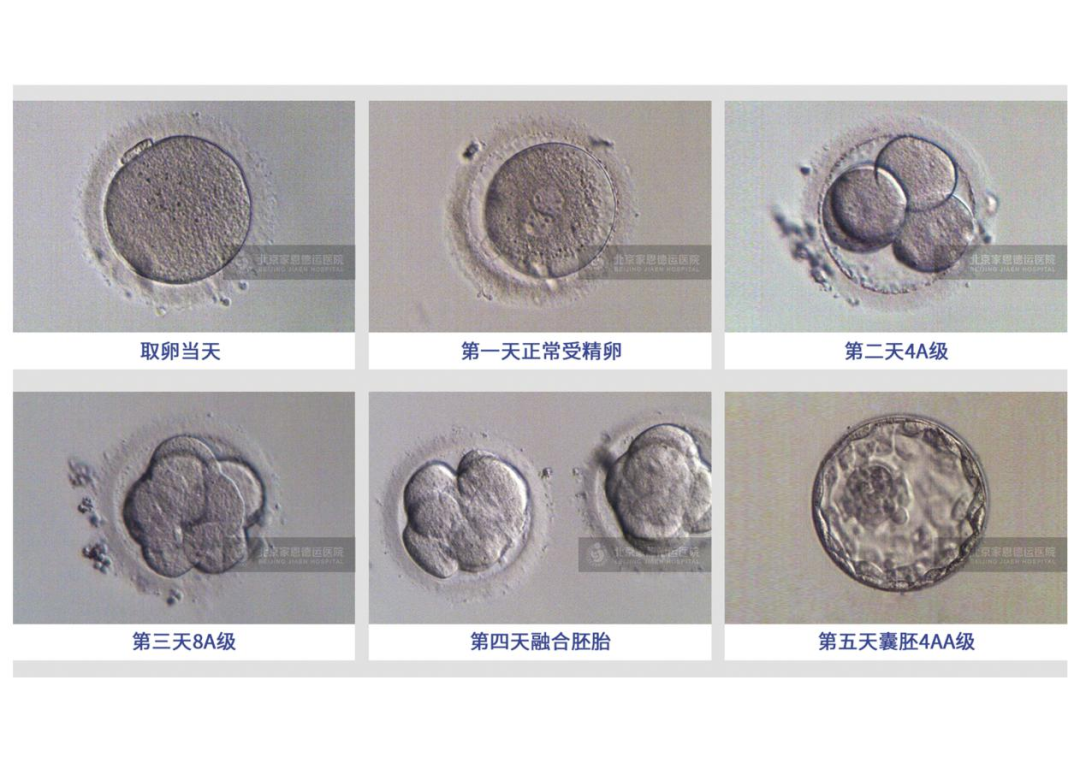 1662017082564476.png 640.png