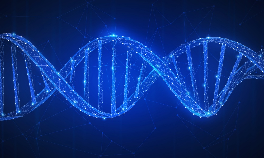 17495489625588581IST_7696_68515_副本.jpg IST_7696_68515_副本.jpg